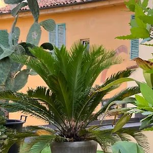 https://il-terrazzo-di-san-colombano.emilia-romagnahotels.net