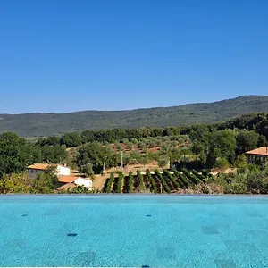 https://wine-glamping-le-sedici.it-tuscanyhotel.com